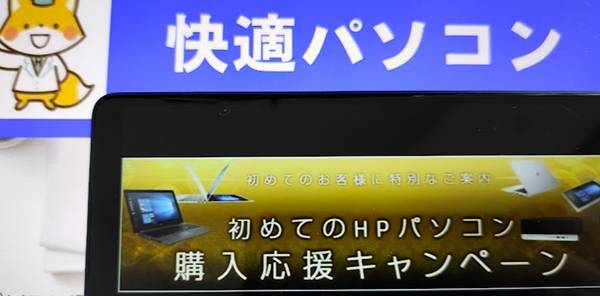 hp法人限定セール